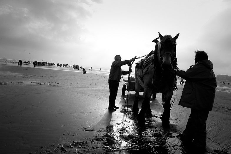 Ivan Dupont made this photo while horse fishing in Belgium. See more of Ivan's work on Flickr. Want to see your photo picked as our Photo of the Day? Submit it HERE.