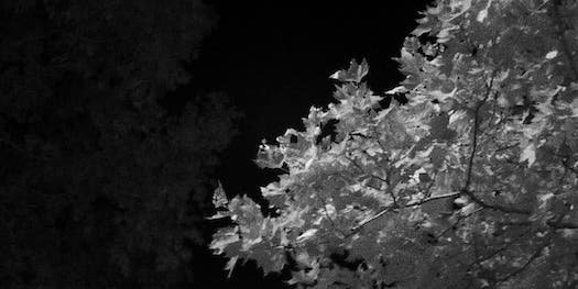 Hands On: The Midnight/Shot, a Pocket-Sized Infrared Camera Hands On: The Midnight/Shot, a Pocket-Sized Infrared Camera