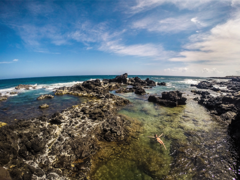 Lounging in the waters of Ho‘okipa, Maui