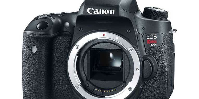 New Gear: Canon Rebel T6s and T6i DSLR Cameras