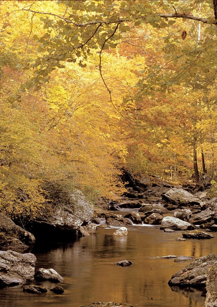 Great Smoky Mountains National Park (NC, TN)