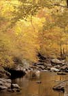 Great Smoky Mountains National Park (NC, TN)