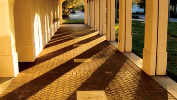 Getting In The Mood with Light and Shadows