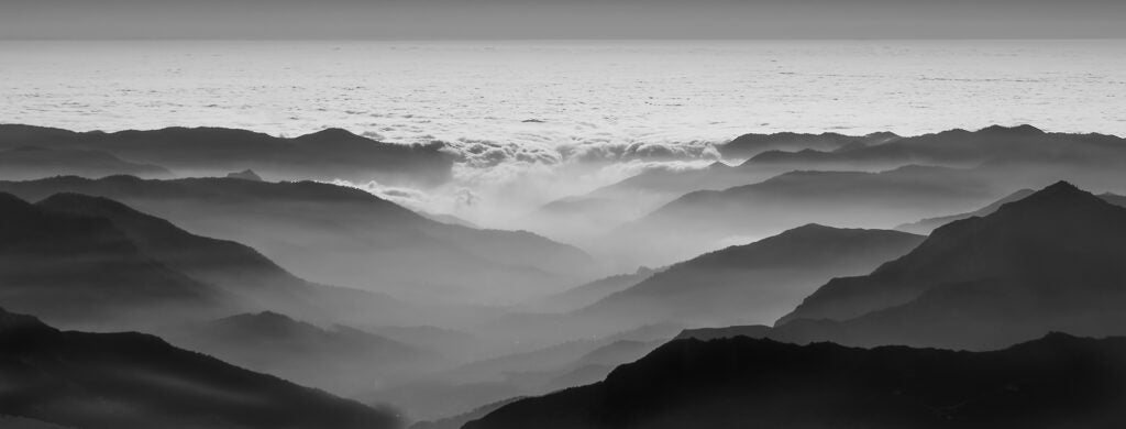 Mountain Mist