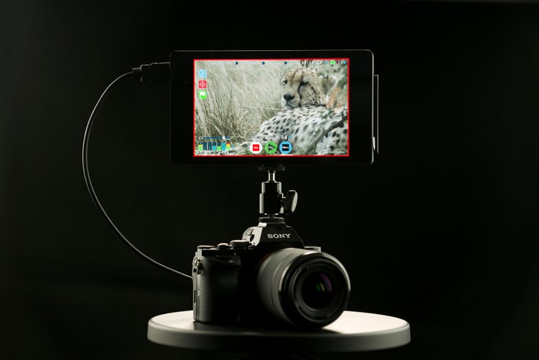 Atomos 4K Recorder voor Sony A7s:specificaties en releasedatum 