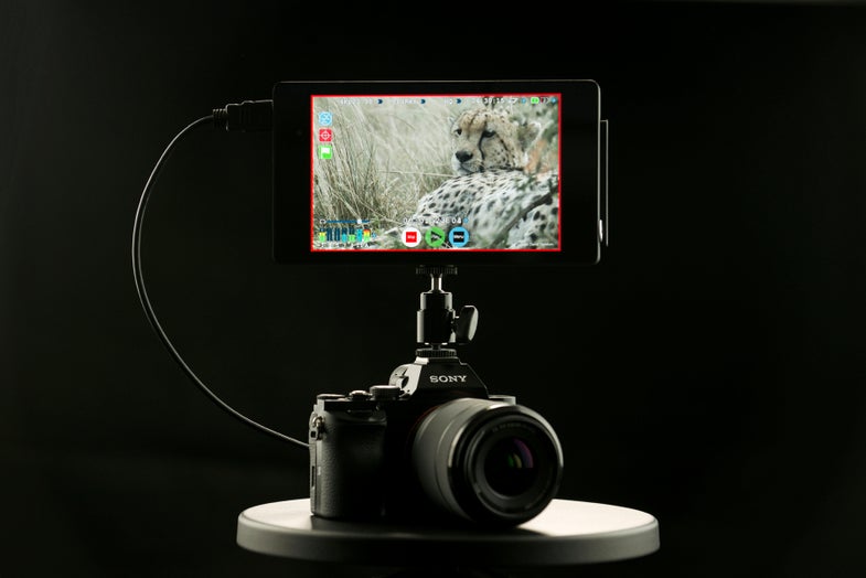 atomos shogun