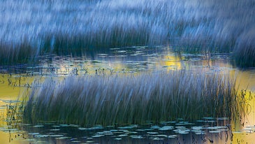 How To Make The Most Of Your Fall Photography