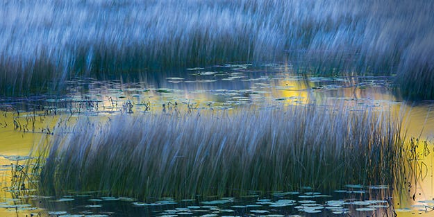 How To Make The Most Of Your Fall Photography How To Make The Most Of Your Fall Photography