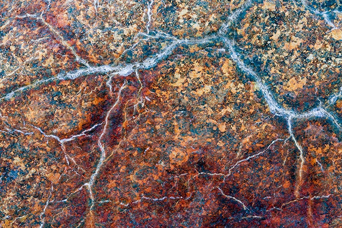 Detail of patterns in rock, Los Glaciares National Park, Patagonia, Argentina.