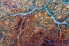 Detail of patterns in rock, Los Glaciares National Park, Patagonia, Argentina.