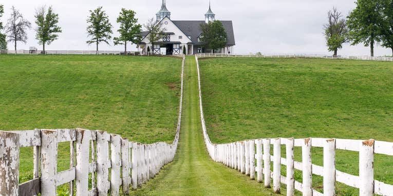 Photo Workshop: Kentucky