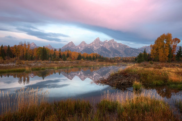 Sunrise at Schwabacher Landing in Grand Teton National Park. Photo: Flickr user Diana Robinson (Creative Commons)