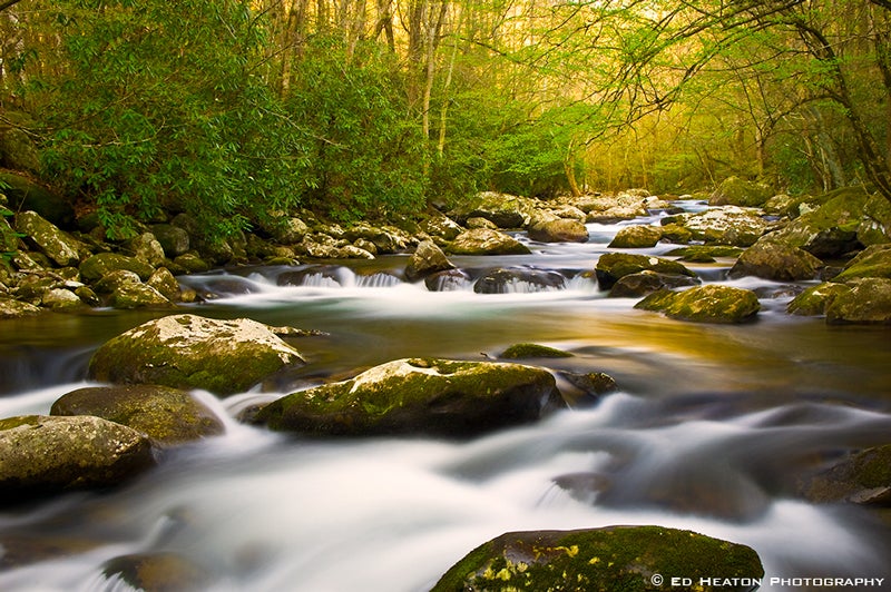 Little River in the Great Smoky Mountains National Park.jpg