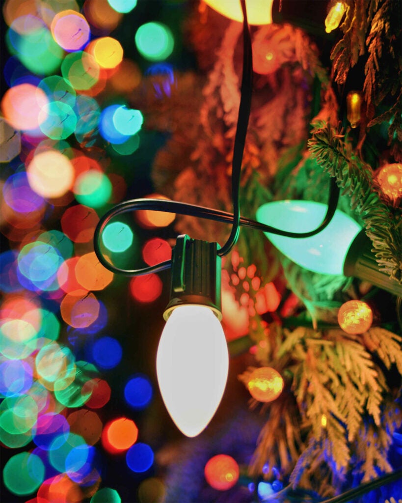 A decked out display of colored lights in Old Town Alexandria, VA. Shot with my old, beloved Nikon 35mm f1.4 AIS.