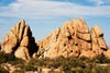 Nature-Extreme-Makeover-JOSHUA-TREE-NATIONAL-PAR