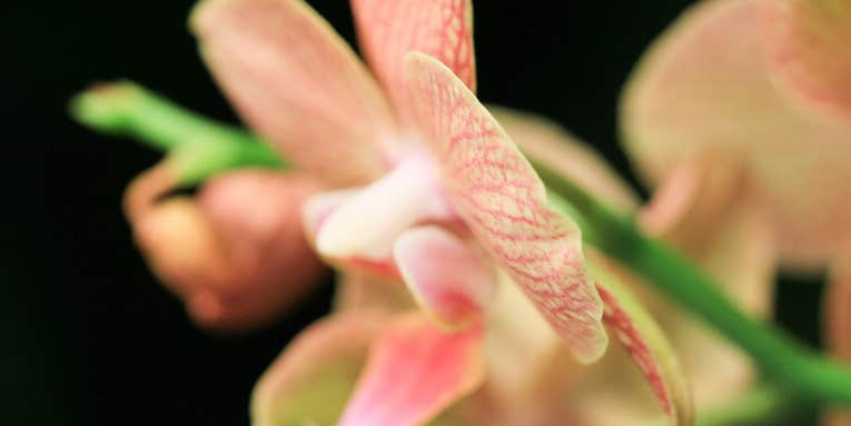 Tamron 90mm F/2.8 VC Macro USD: Sample Images Tamron 90mm F/2.8 VC Macro USD: Sample Images