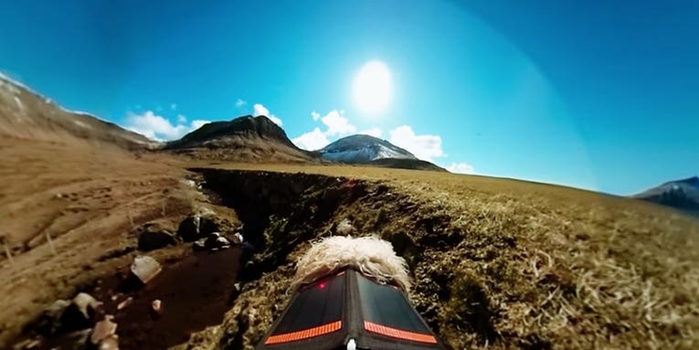 The Faroe Islands Are Using Sheep-Mounted Cameras to Populate Google Street View