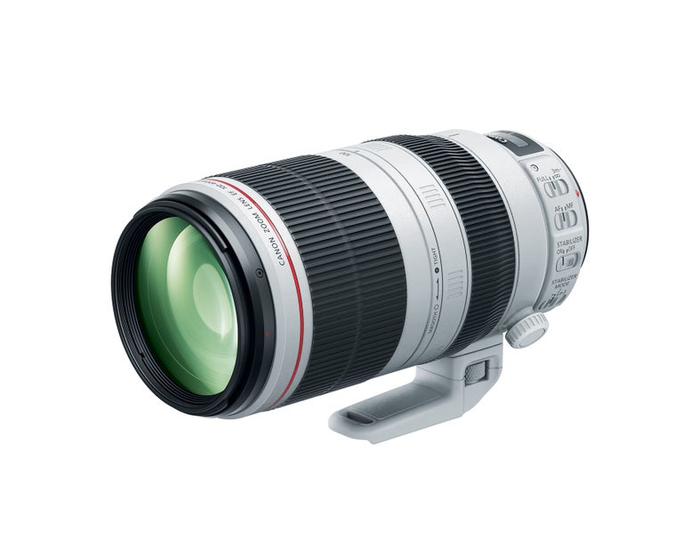 Canon 100-400mm F/4.5-5.6L IS II USM Telephoto Zoom Lens