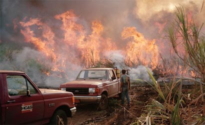 How-I-Shot-This-Razing-Cane