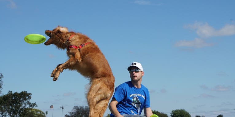 Sony a6500 Sample Image Gallery Sony a6500 Sample Image Gallery