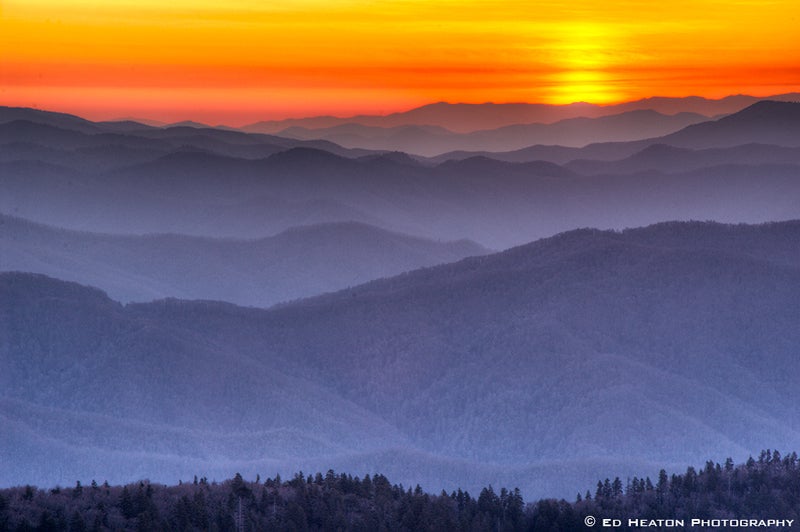 Clingman's Done in the Great Smoky Mountains National Park.jpg