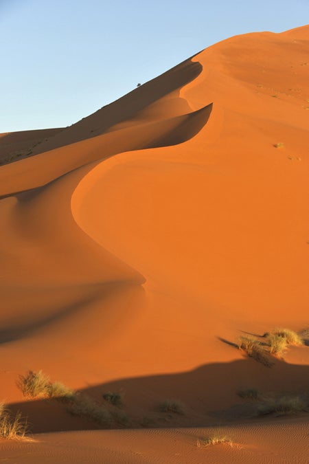 alex-robles---sahara-desert.jpg