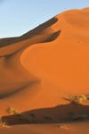 alex-robles---sahara-desert.jpg