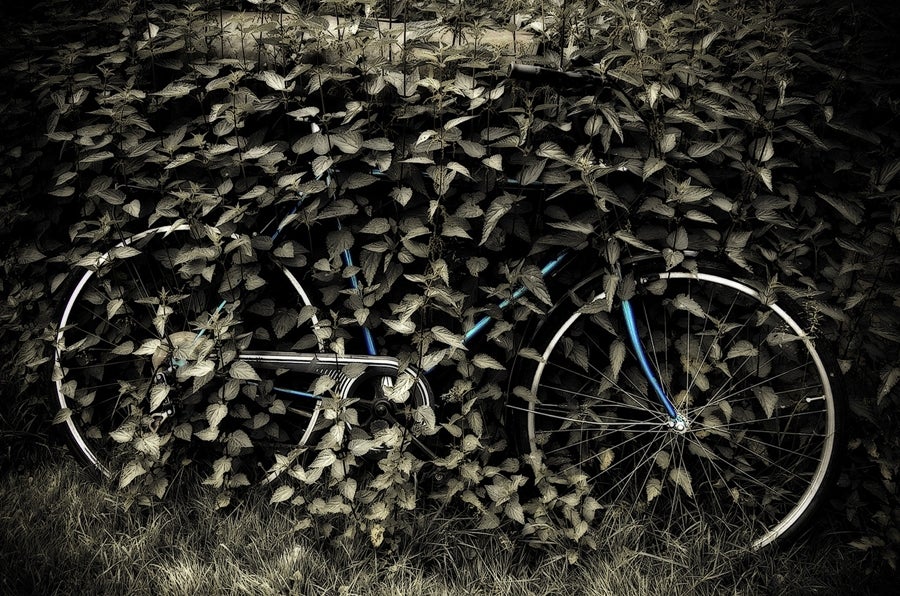 Overgrown