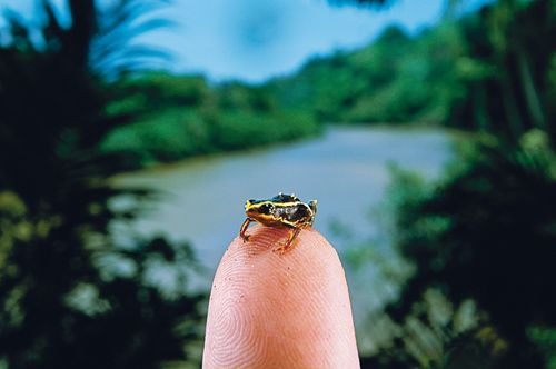 Typepad Import Image