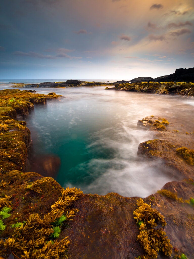 Low Tide at Keahole Point