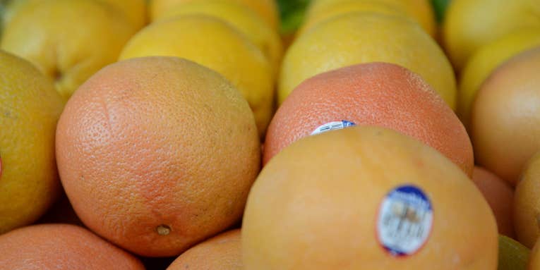 Sample Image Gallery: Nikon D600 Sample Image Gallery: Nikon D600