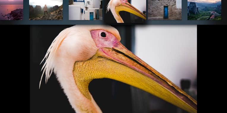 Adobe Announces Lightroom For Apple TV Adobe Announces Lightroom For Apple TV