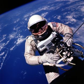 Typepad Import Image