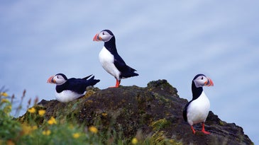 Shooting Iceland, A Photographer’s Paradise