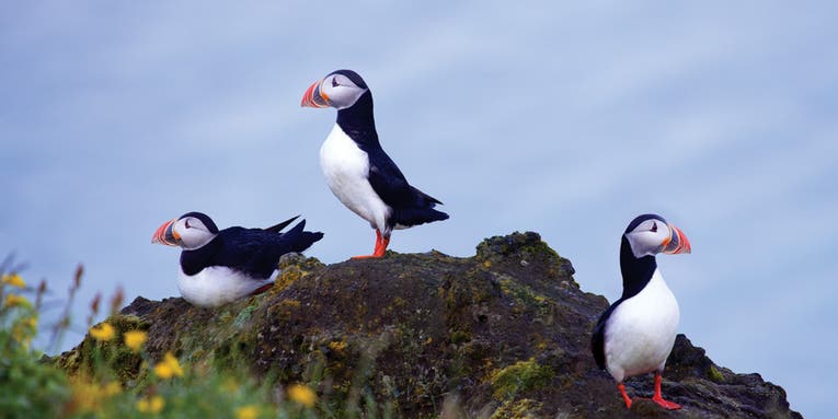 Shooting Iceland, A Photographer’s Paradise