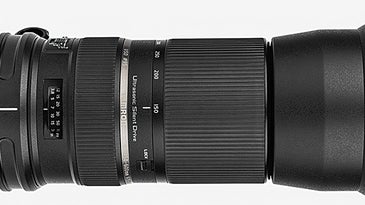 Tamron 150-600mm Lens Test