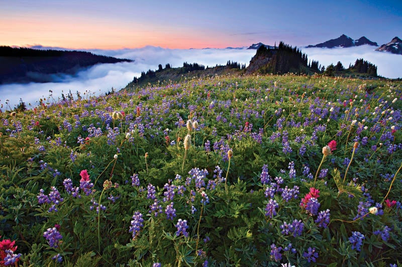 Mazama Ridge