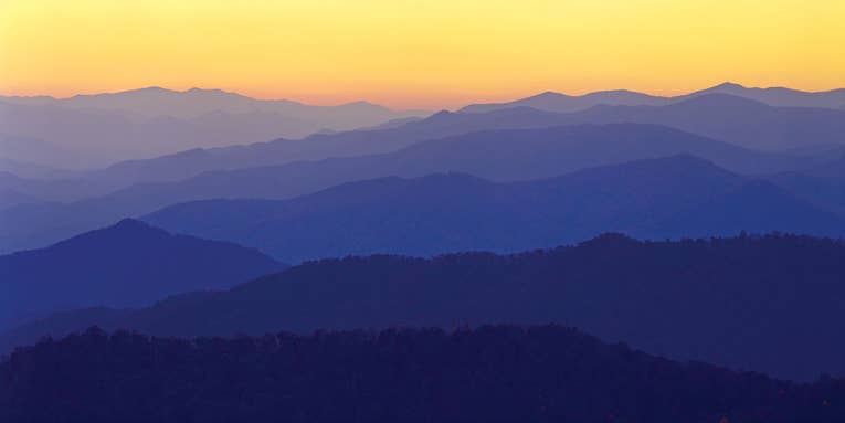 How To: Photograph Patterns in Nature