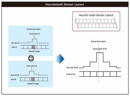 Schematic-of-the-dual-layer-design-of-the-AF-senso