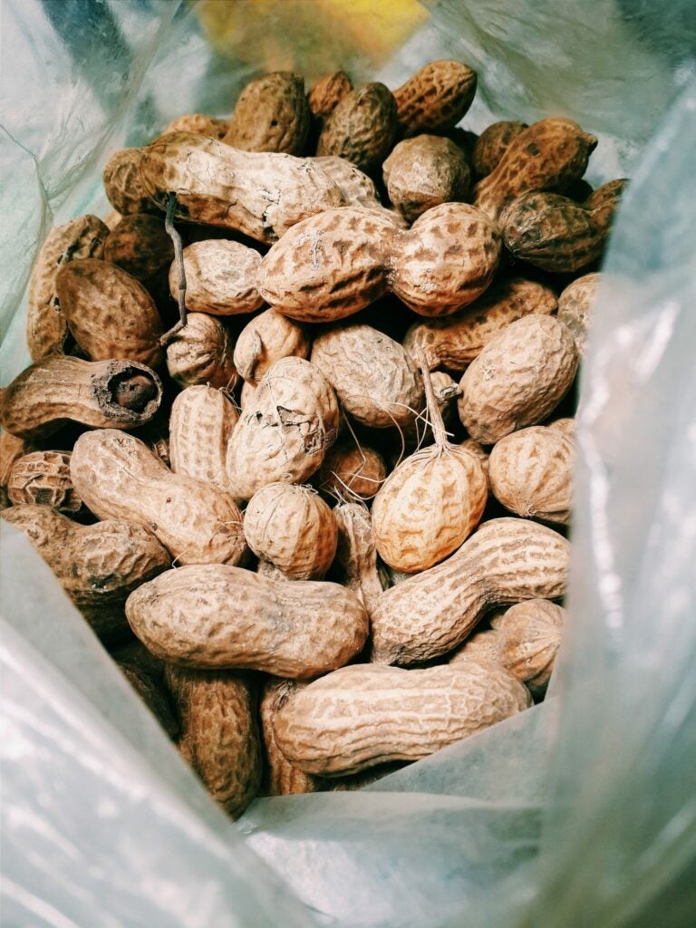 Peanuts