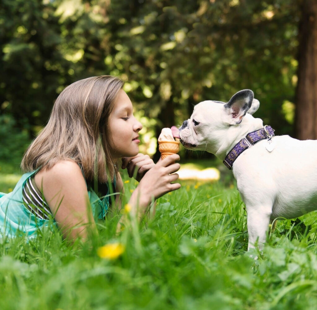 Dog days of summer