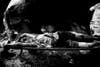 Paolo-Pellegrin-Robert-Capa-Gold-MedalLEBANON.-Qa