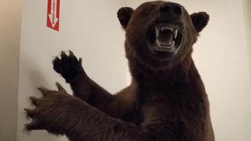 Sample Image Gallery: Fujifilm X20 Advanced Compact Sample Image Gallery: Fujifilm X20 Advanced Compact