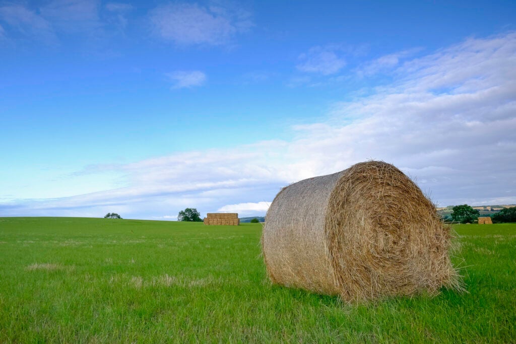 Today's Photo of the Day was taken by Wendy Chapman in Gloucestershire, England using a Fujifilm X-T1
with a XF 14mm F/2.8 R lens at 1/30 sec, F/13 and ISO 200. See more work of Chapman's work <a href="https://www.flickr.com/photos/wacphoto/">here.</a>