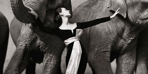Richard Avedon Photo Fetches $1.2 Million at Auction Richard Avedon Photo Fetches $1.2 Million at Auction