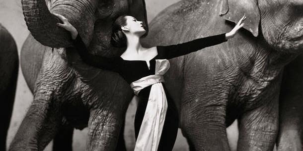 Richard Avedon Photo Fetches $1.2 Million at Auction