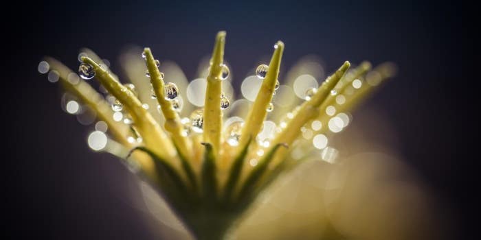 Your Best Shot Finalist Photo Gallery: April 2014