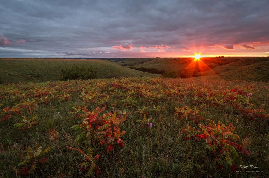 Today's Photo of the Day was taken by Scott Bean in the Flint Hills of Kansas. See more of Scott's work <a href="http://www.flickr.com/photos/scottbeanphoto/">here. </a>