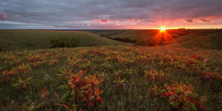 Photo of the Day September 15, 2014