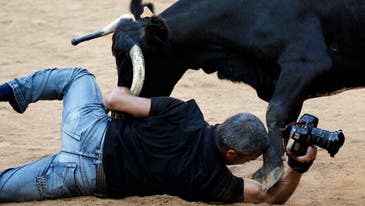 Photographer vs. Bull: Camera Makes it Out Safely